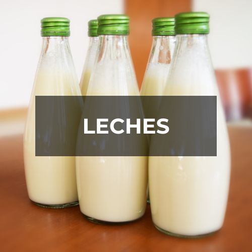 Leches